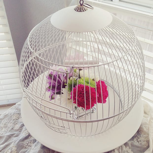 birdcage flowers